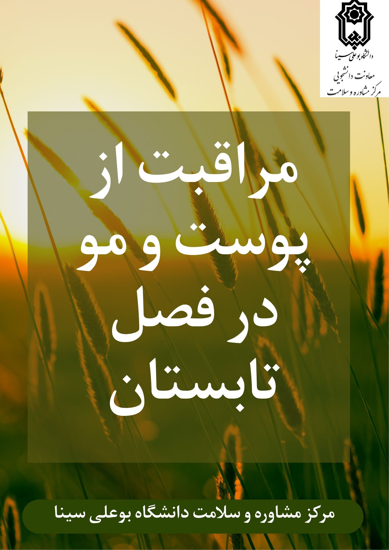 تصویر کوچک